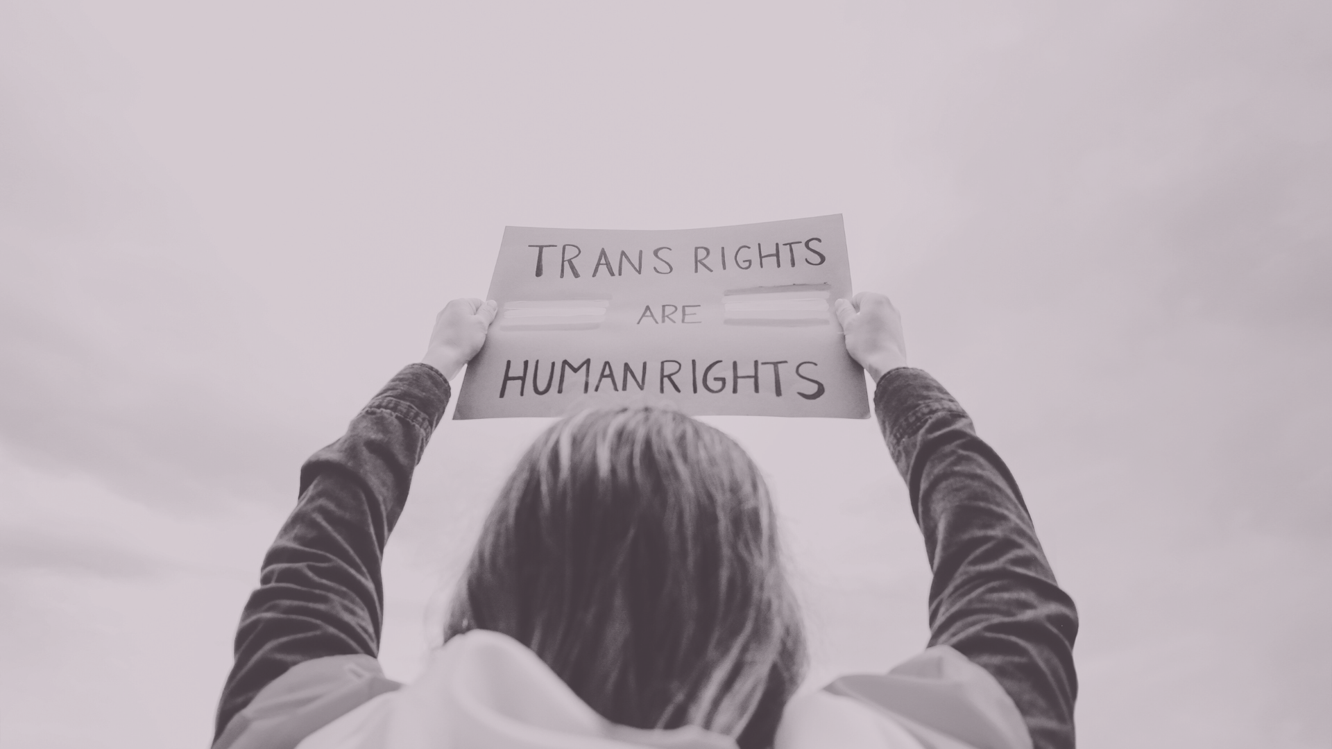 Person holding sign that says trans rights are human rights